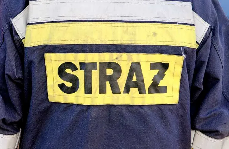 PSP: Tegoroczne pożary lasów przyniosły już ponad 43 mln zł strat