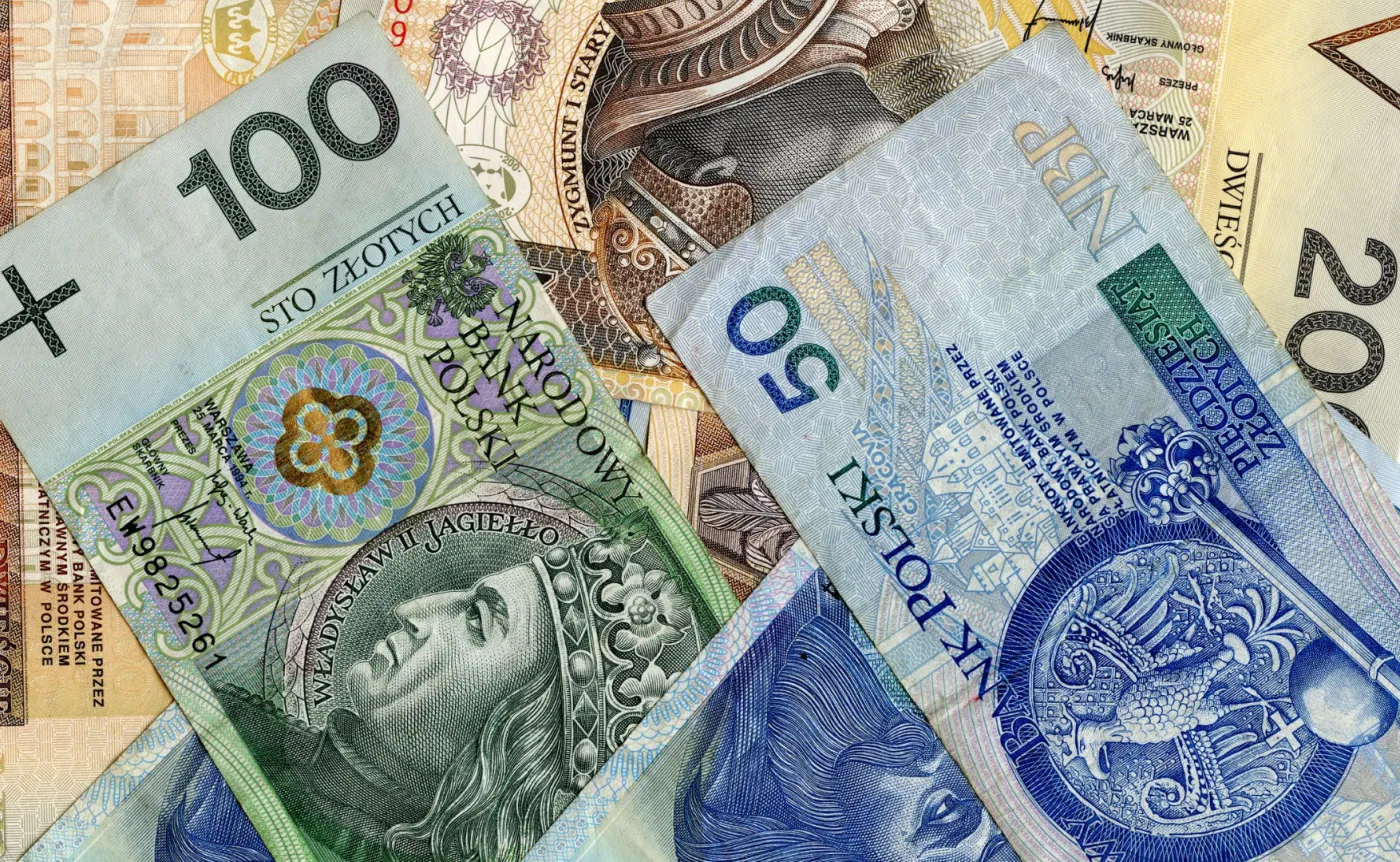 Kotecki z RPP: Wyłączenie funduszy celowych z reguły wydatkowej niekorzystne dla złotego