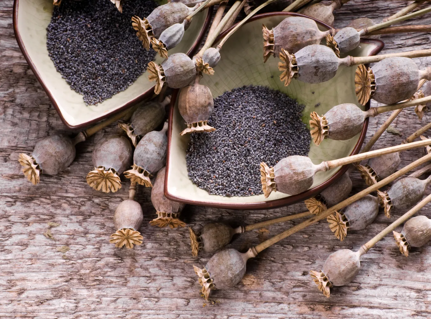 Afganistan to największy na świecie producent makowego opium i heroiny