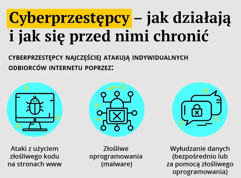 Cyberprzestępcy - jak działają i jak się przed nimi chronić