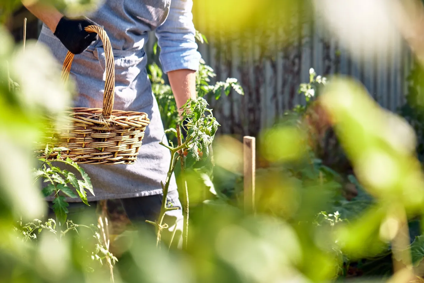 Ogródki działkowe mają być likwidowane a tereny po nich pod budowę nowych mieszkań? Jest decyzja rządu