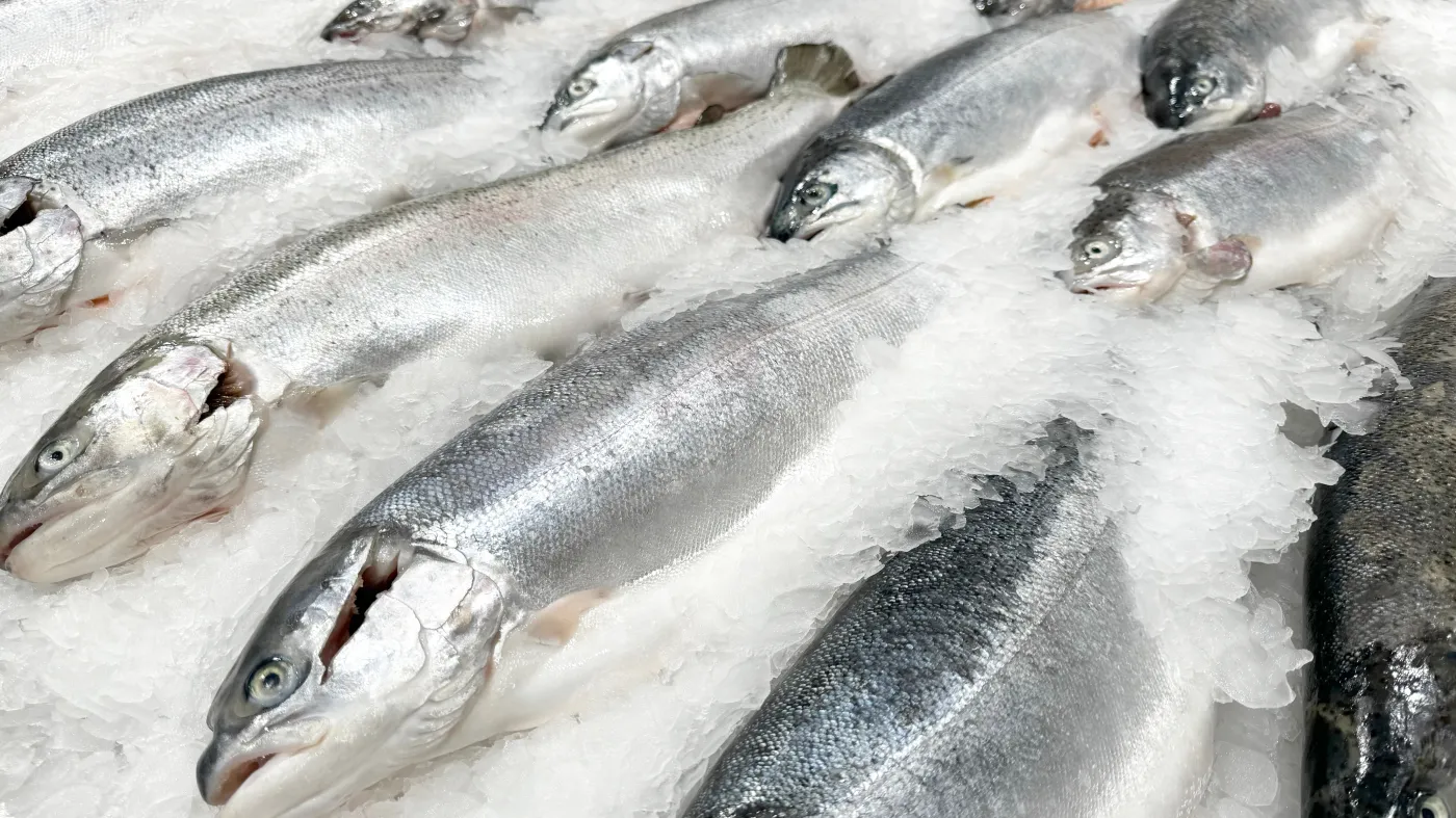 218 zł za godzinę pracy. Pracownicy z Polski w centrum uwagi