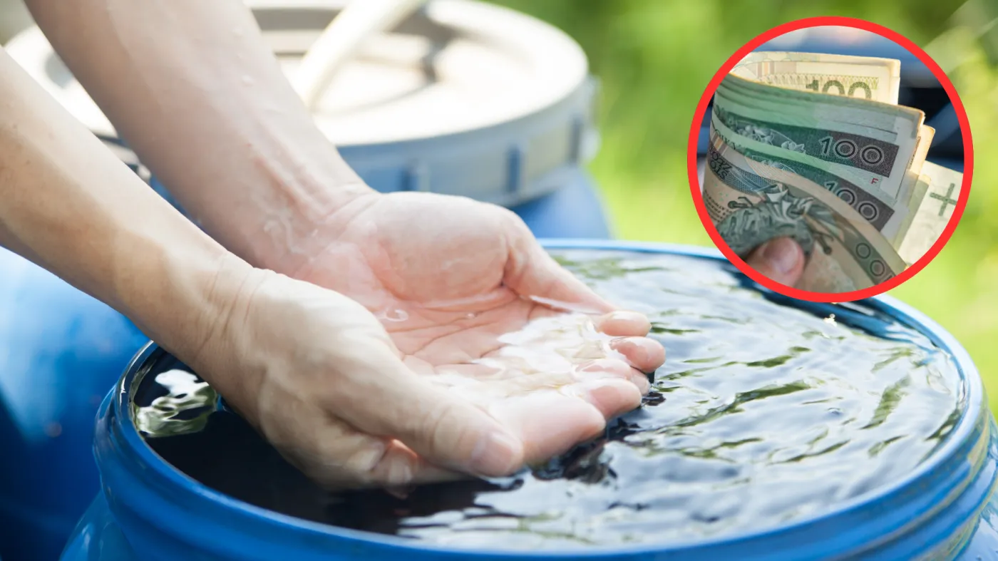 10 000 zł za zbieranie deszczówki. Rusza nowy nabór wniosków