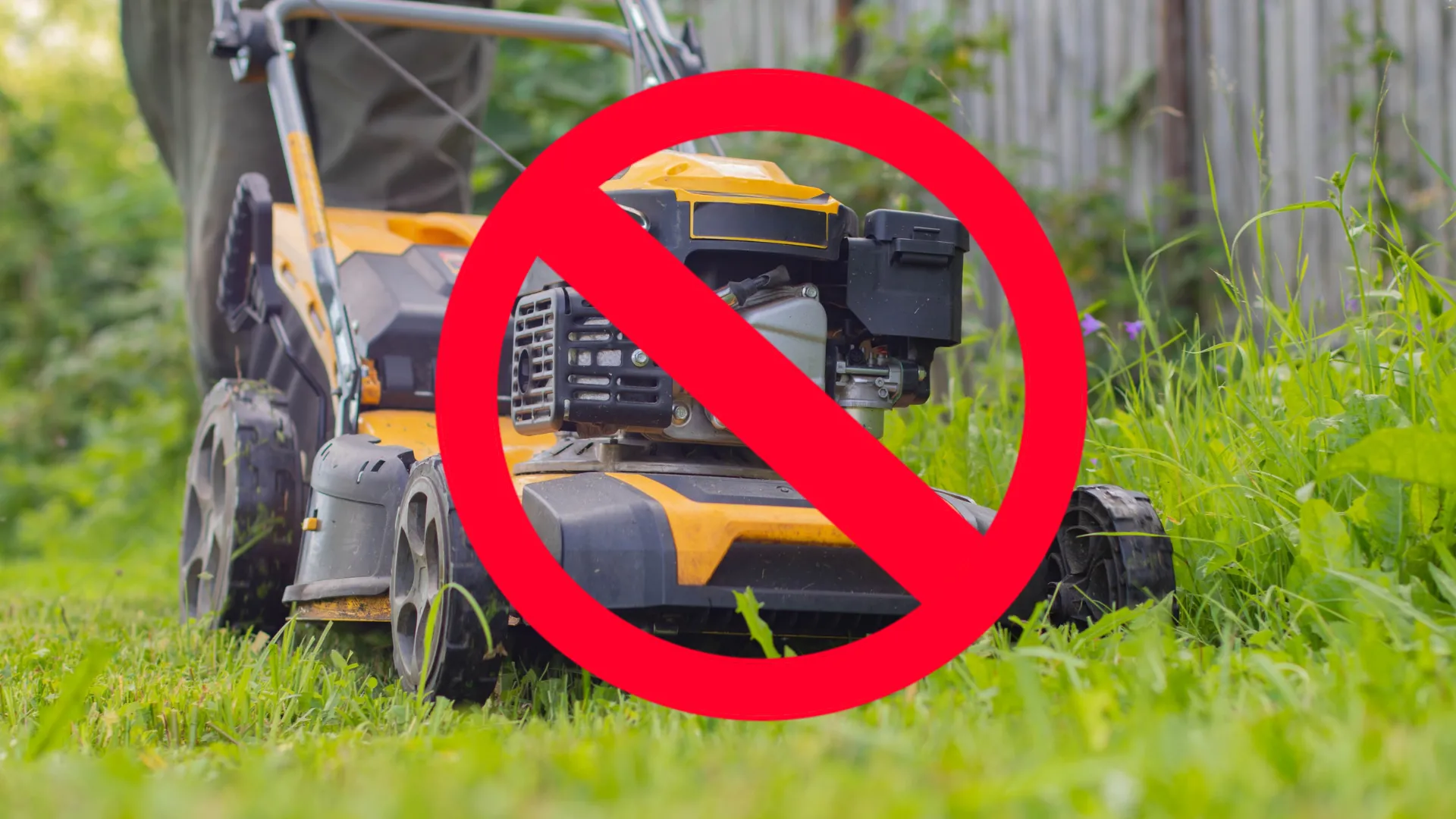 Zakaz koszenia trawy w niedzielę - sąsiad straszy mandatem lub grzywną. Rozwiewamy wątpliwości