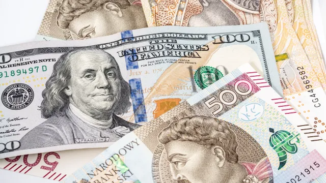 Cena euro, dolara i franka. Kursy walut 20.10.2026