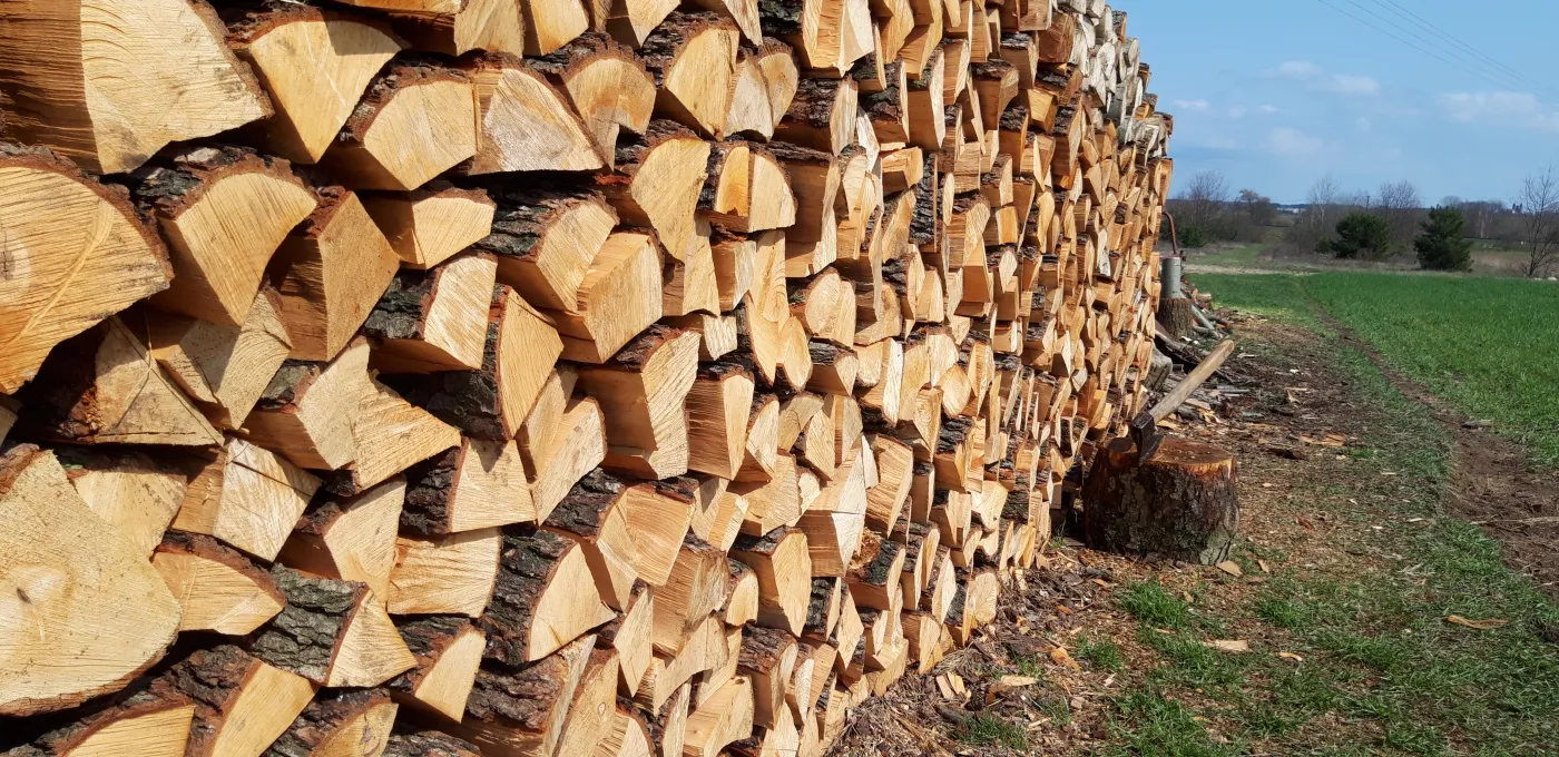 Ceny drewna opałowego w Polsce 2025 – ile kosztuje 1 metr drewna opałowego we wrześniu 2025? Jaka jest aktualna cena drewna opałowego?