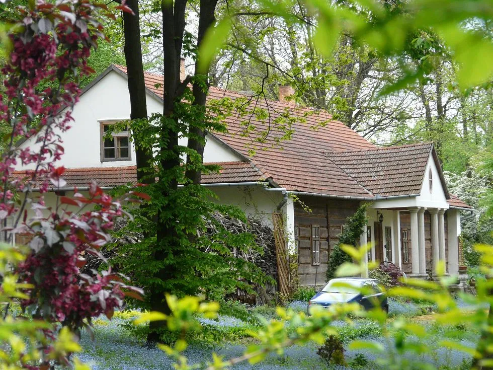 Kawalerka w Warszawie? Taniej kupisz pałac z własnym parkiem