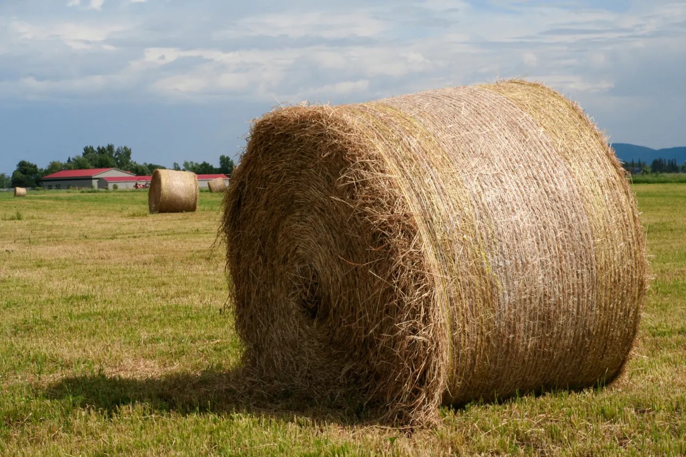 Komisja Europejska szykuje 400 milionową karę dla Polski