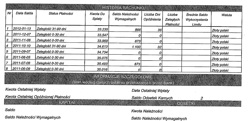760819-fragment-przykladowego-raportu-rozszerzonego-bik.png