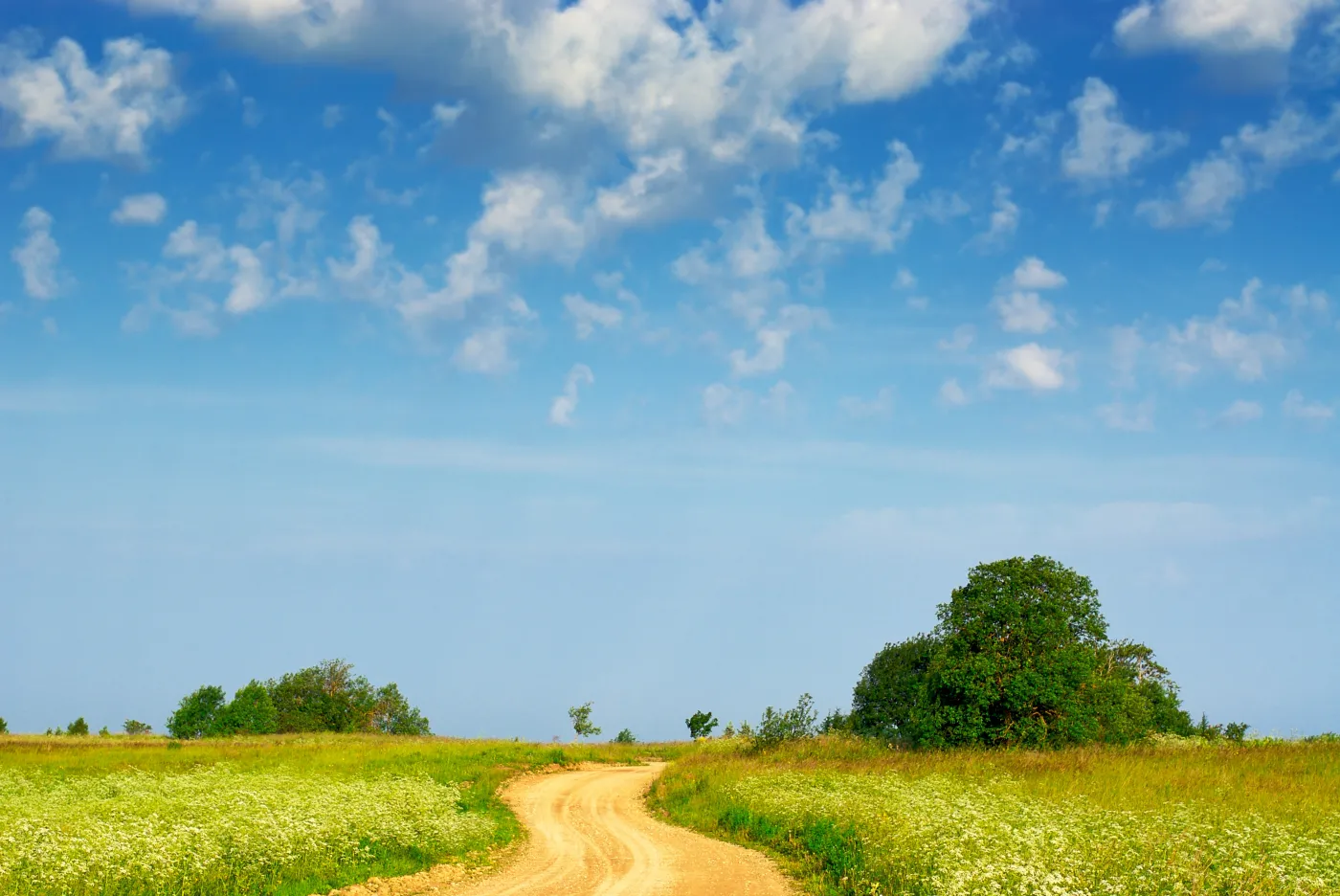 Nawet 300 tys. złotych na rozkręcenie biznesu na wsi