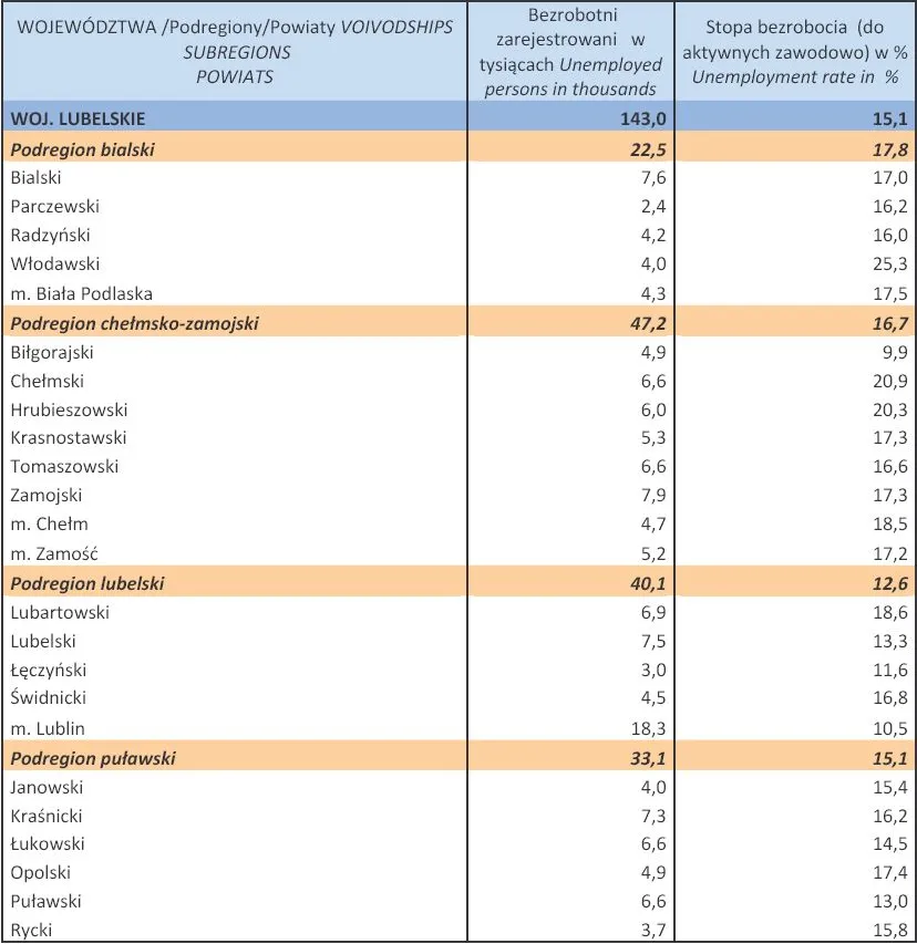 1263677-bezrobocie-w-polsce-w-lutym-2013-r-woj-lubelskie.jpg