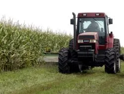 Fikcyjne doradztwo rolnicze, czyli polski sposób na unijne dotacje