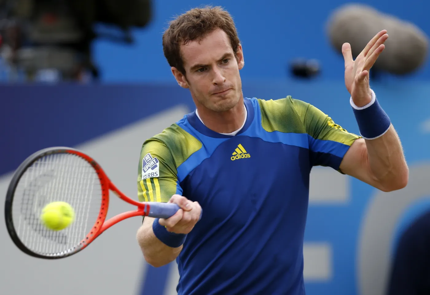 1378419-andy-murray-jpg.jpg