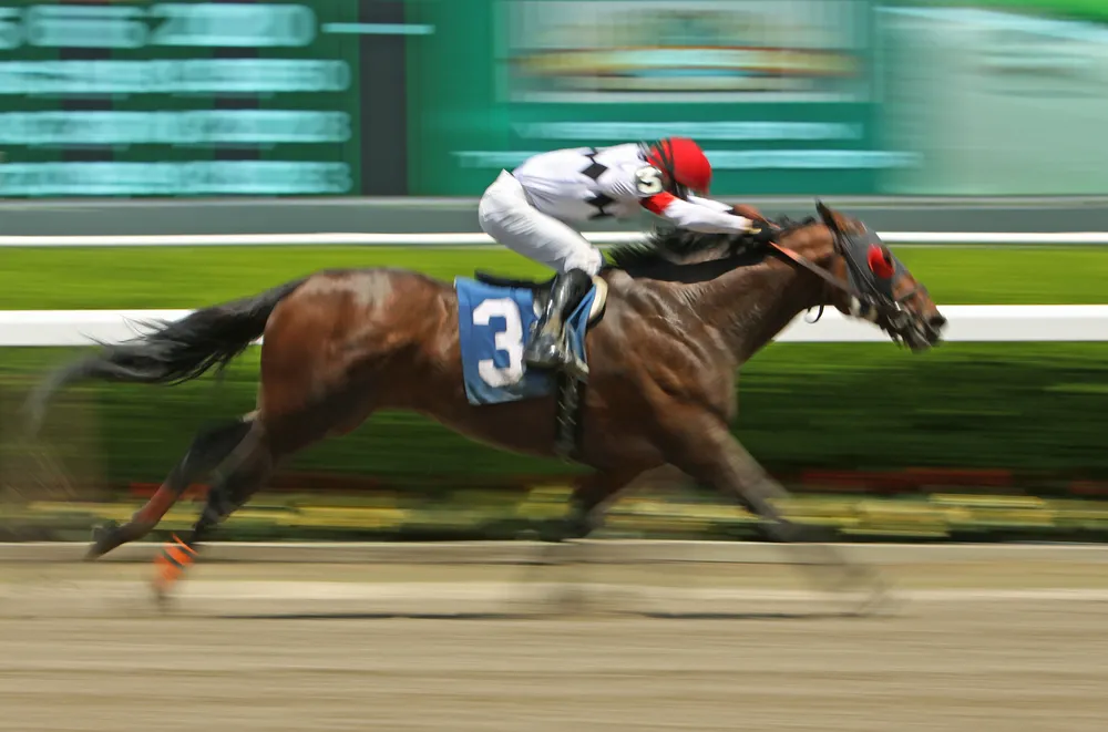 Wyścigi konne - wygrać możesz, przegrać musisz