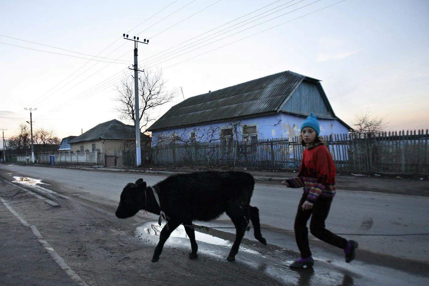 1431214-wies-cosnitsa.jpg