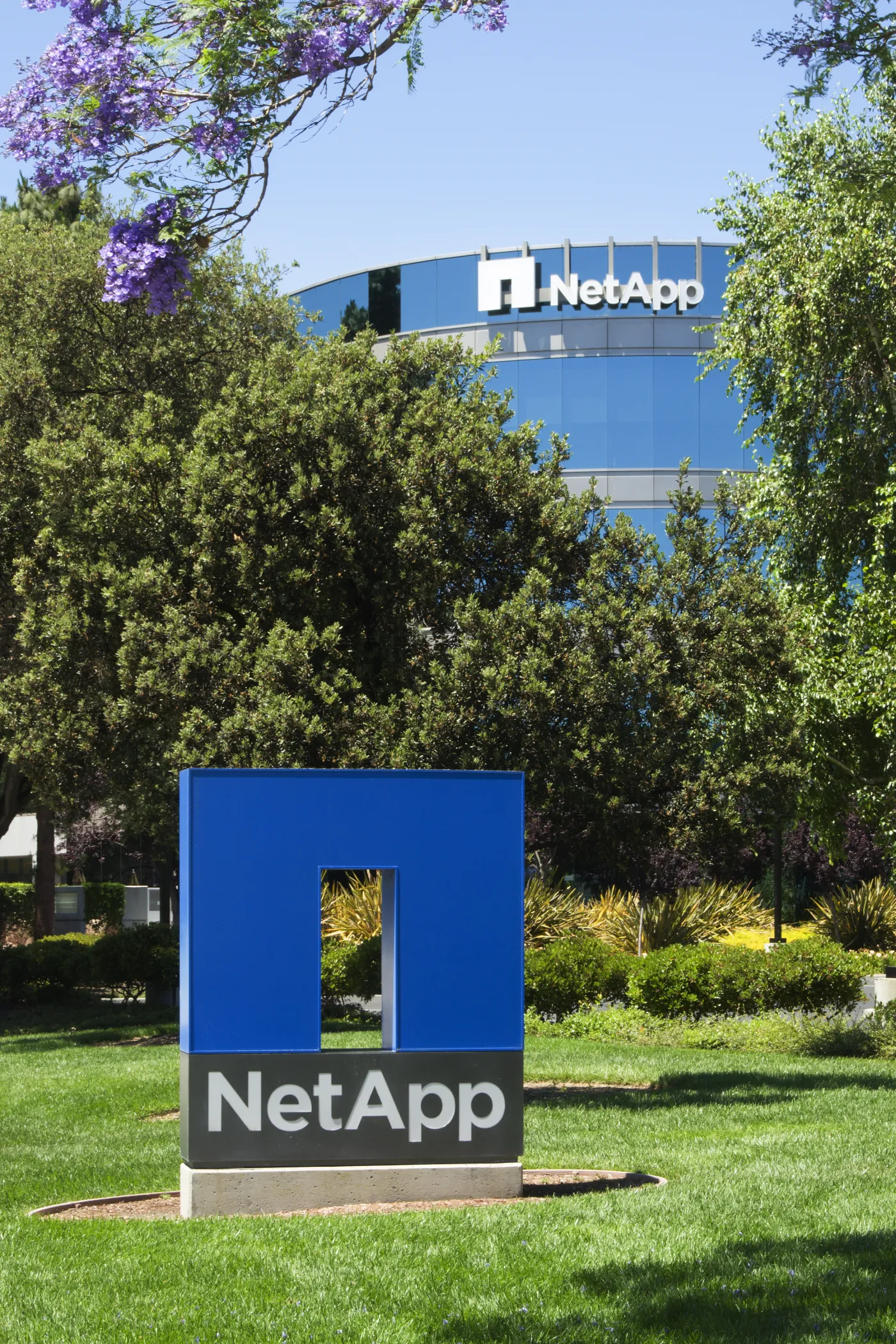 1966723-netapp-fot-lps.jpg