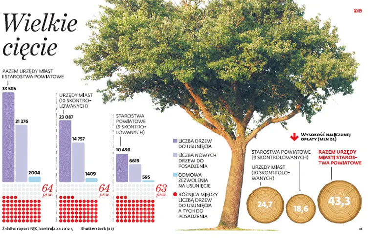 Ochrona przyrody w Polsce to fikcja. Drzewa przegrywają z deweloperami