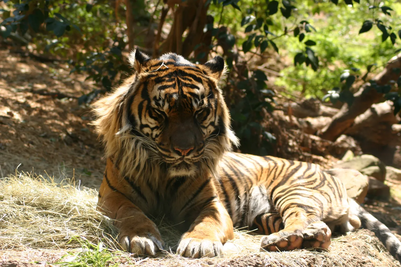 Biolog zajmujący się badaniem dzikiej przyrody