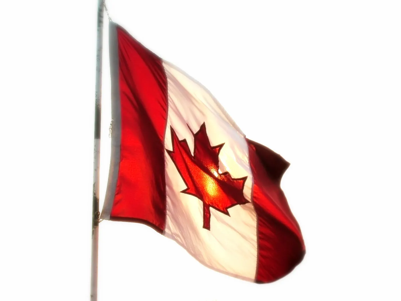 Kanadyjczycy kupią w końcu PTR?