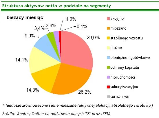 struktura_aktywow_netto_w_podziale_na_segmenty_101928.jpg