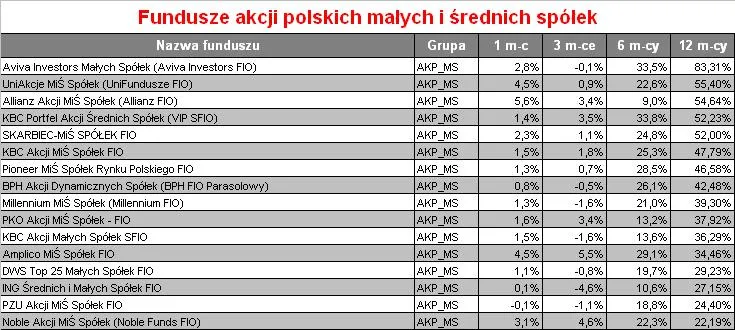 fundusze_akcji_polskich_malych_i_srdnich_spolek_150012.jpg