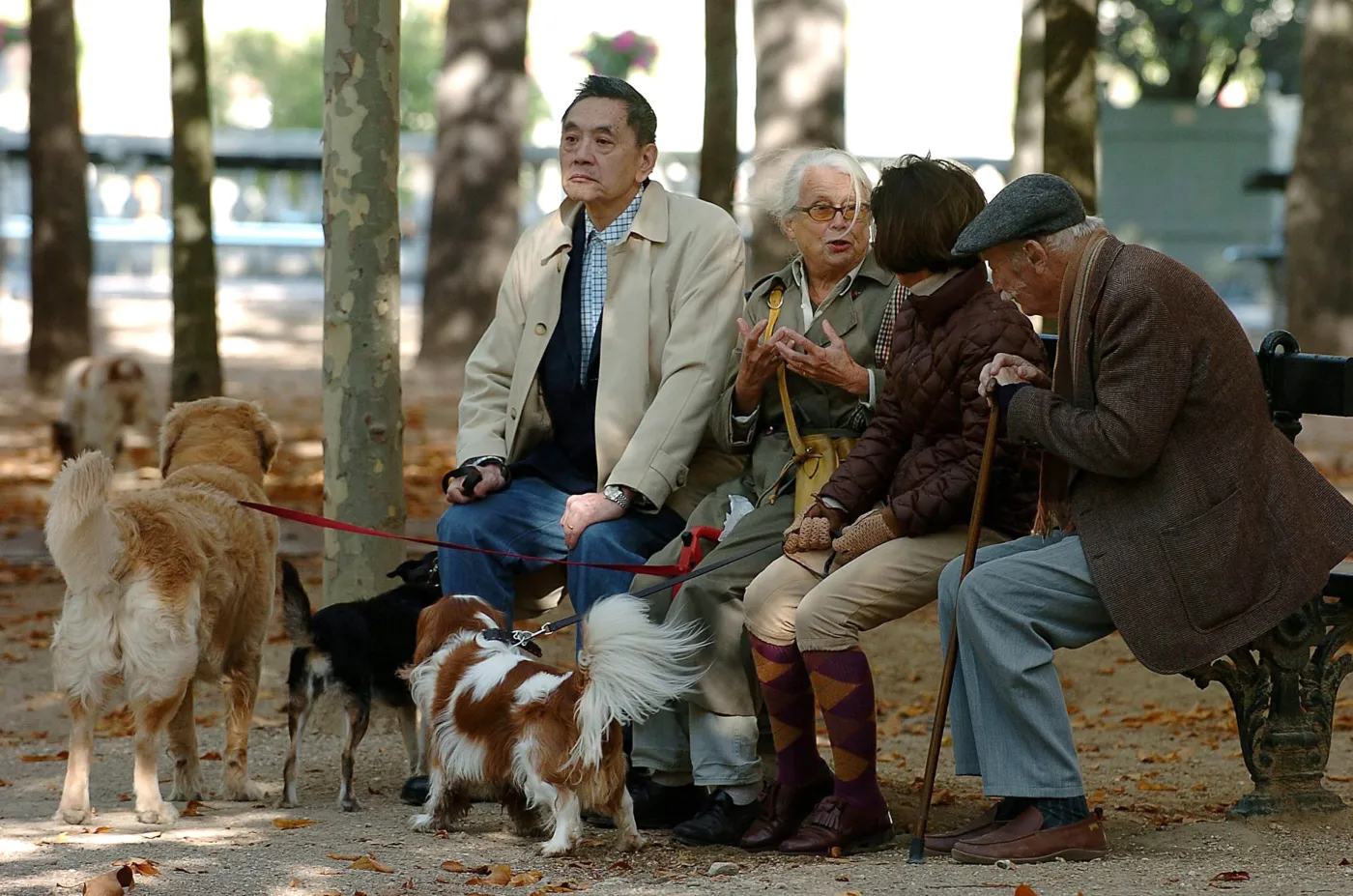 Ranking funduszy emerytalnych Analizy Online - grudzień 2009