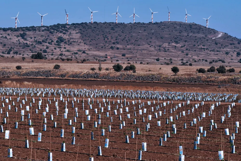 „Trump na tacy podaje Golan Netanjahu”. Francuskie media krytykują prezydenta USA