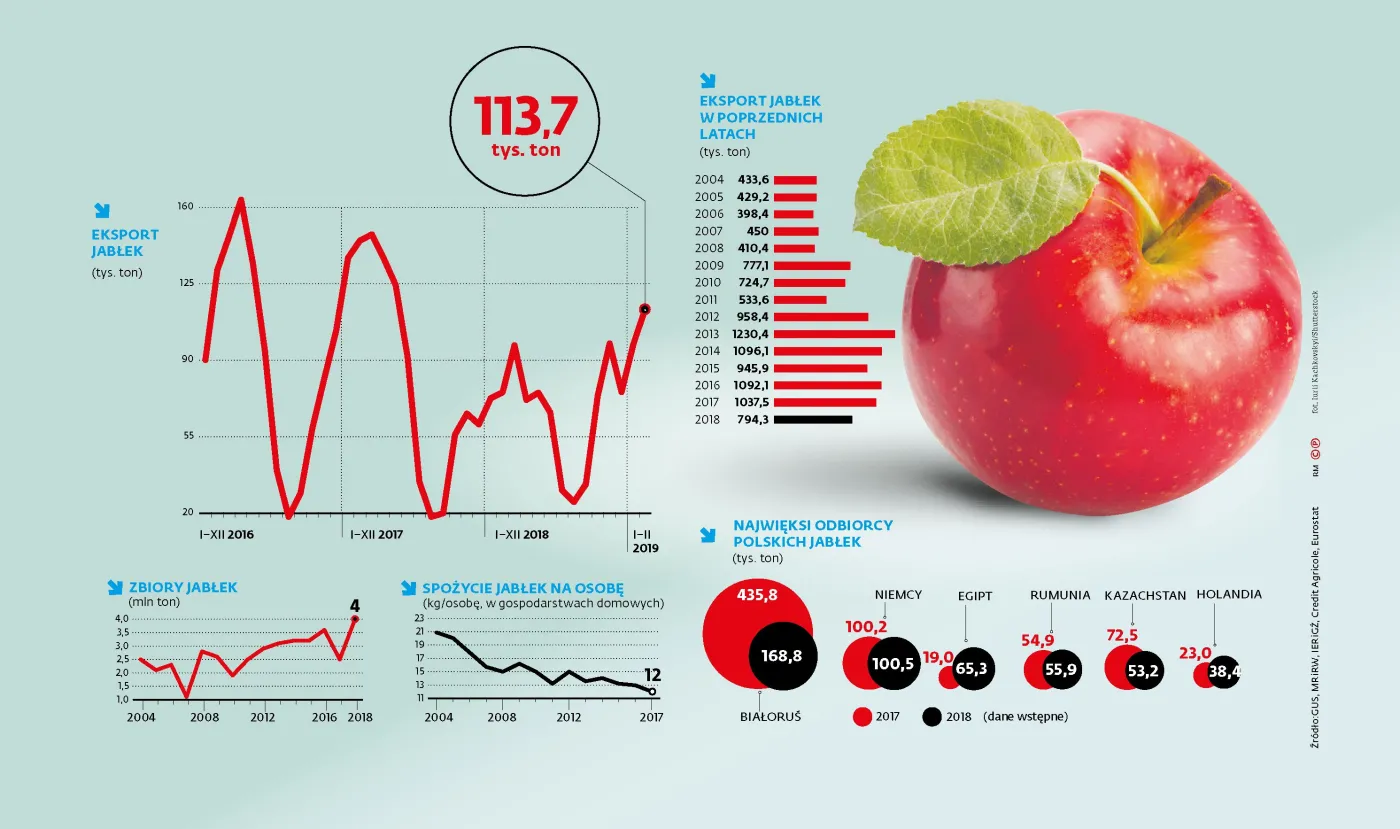 Eksport jabłek przyśpieszył, ale część ubiegłorocznych zbiorów i tak może się zmarnować