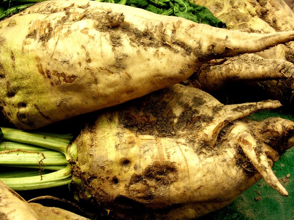 Polskie warzywa tracą na popularności