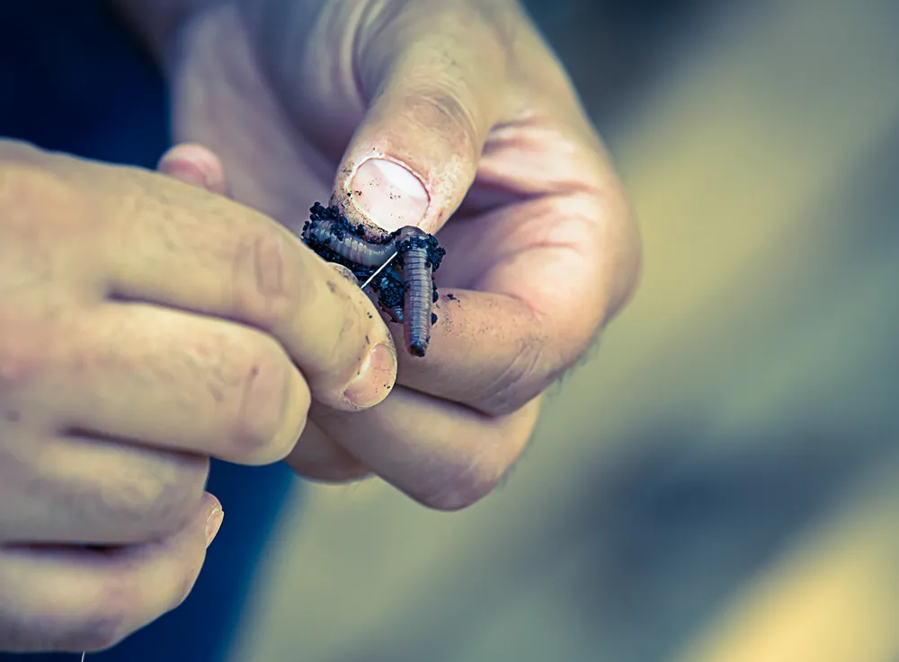 Wędkarze zablokują porty? Zapowiadają "ostre pogotowie strajkowe"
