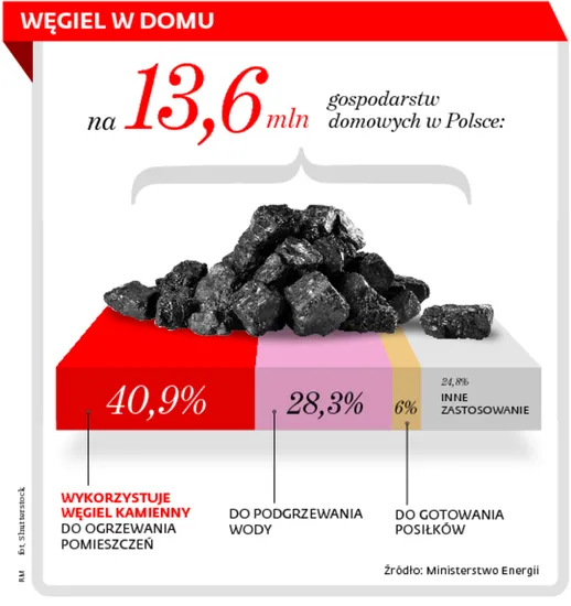 Zapał do walki ze smogiem przygasł, ale wróci za rok