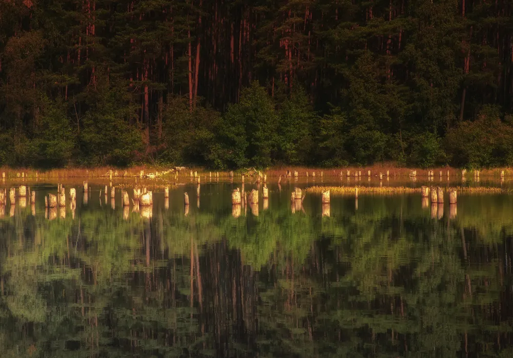 W Borach Tucholskich odkryto osadę sprzed prawie 2 tys. lat. To unikat w skali całej Europy