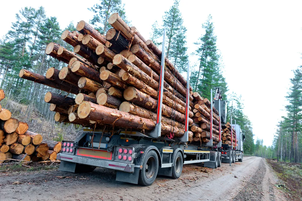 Ceny drewna podcinają nogi meblom. Polscy producenci są niepewni jutra