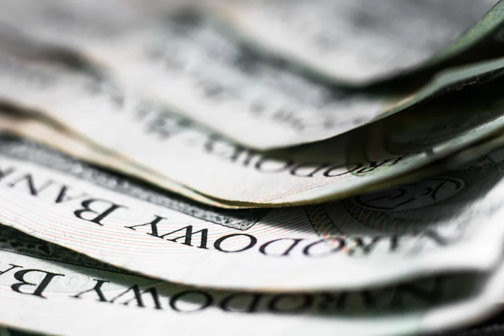 Główny ekonomista MF: Deficyt finansów publicznych w 2020 r. będzie dużo niższy niż 12 proc. PKB