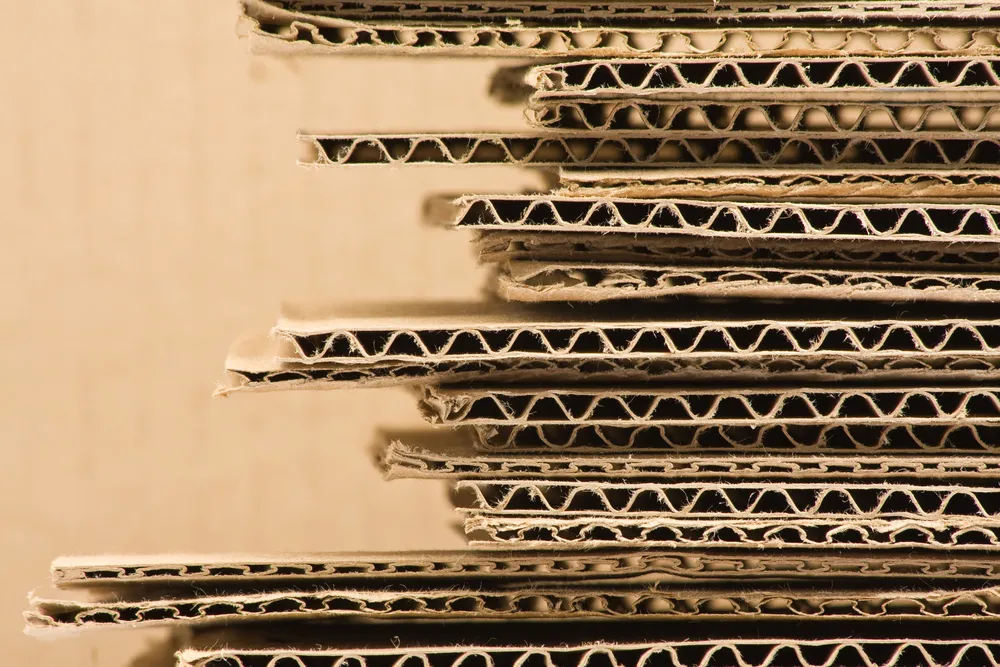 84 proc. Polaków chce korzystać z opakowań zwrotnych [BADANIE]