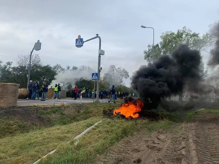 Protest rolników