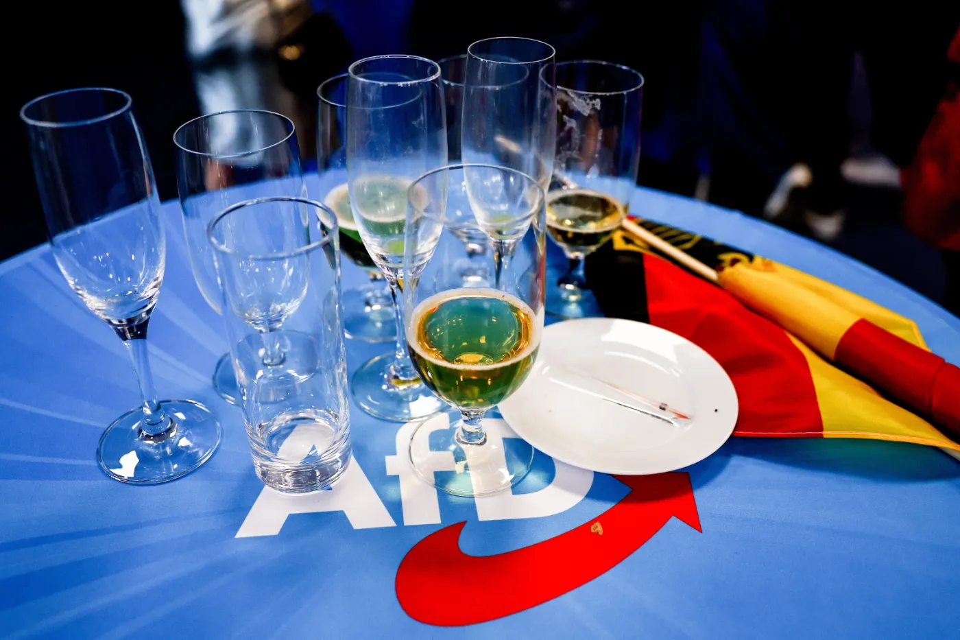 German far-right party AfD Europe election party in Berlin