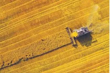 Fala tanich nawozów z Rosji i Białorusi potęguje problemy europejskiego przemysłu