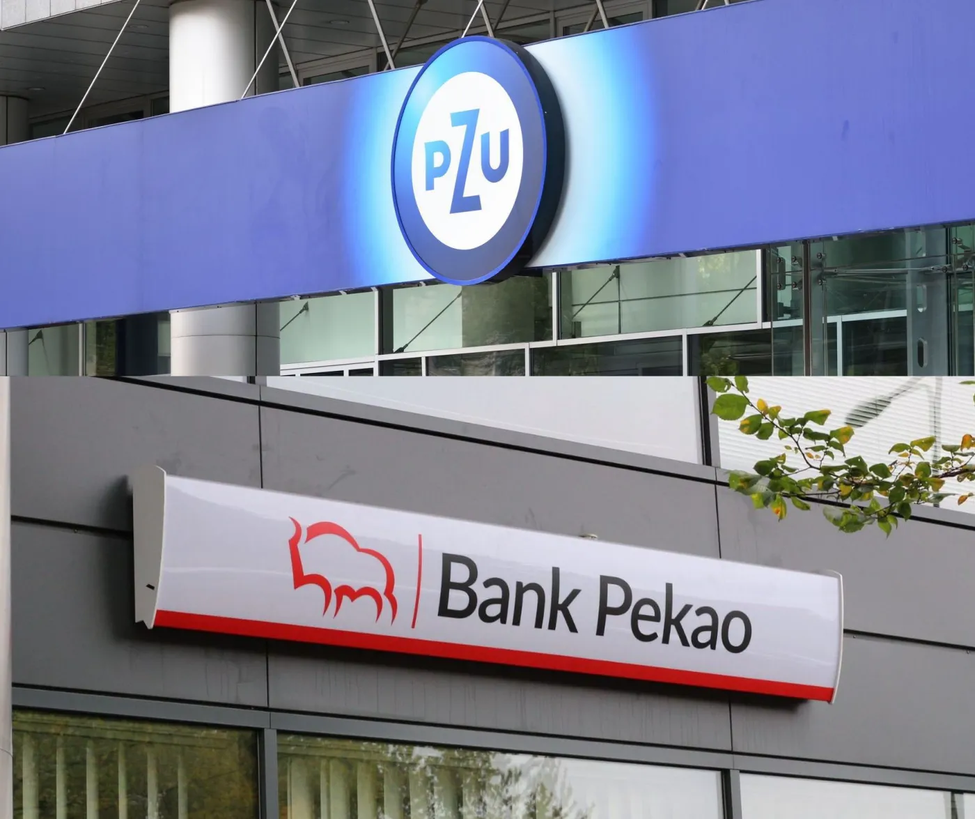 Fuzja PZU i Pekao. Polska stworzy finansowego giganta. Ekspert: Będzie się liczył na europejskich rynkach