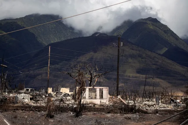 Maui, Hawaje: Liczba śmiertelnych ofiar jest wciąż nieznana. Szacuje się, że w pożarach zginęło wiele dzieci