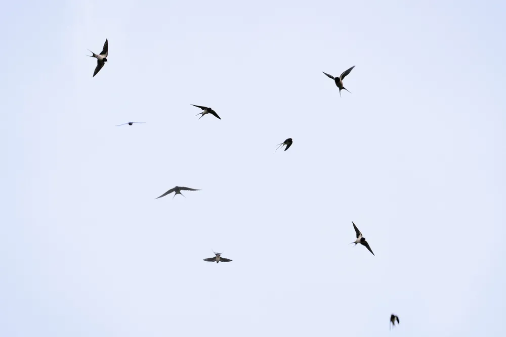 Nie tylko wygrana opozycji. Trzy krzepiące obserwacje z wyborów 2023 [OPINIA]