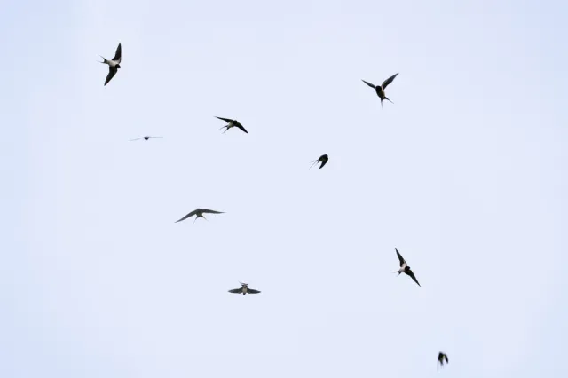 Nie tylko wygrana opozycji. Trzy krzepiące obserwacje z wyborów 2023 [OPINIA]