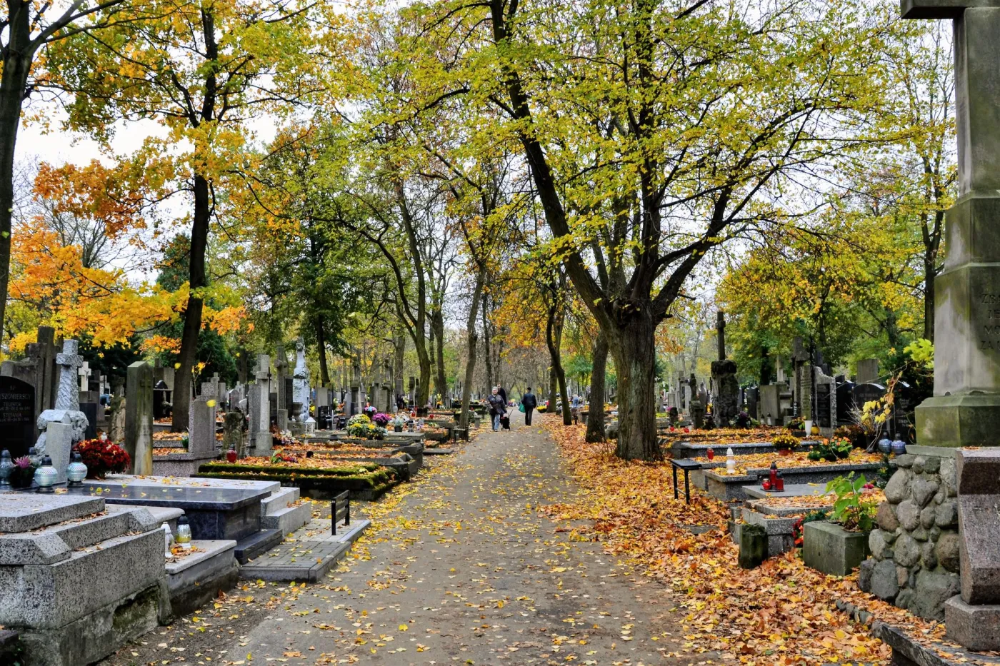 Wszystkich Świętych 1.11.2025 - sklepy otwarte? Czy zrobimy zakupy 1 listopada? Czy 2 listopada jest niedziela handlowa?