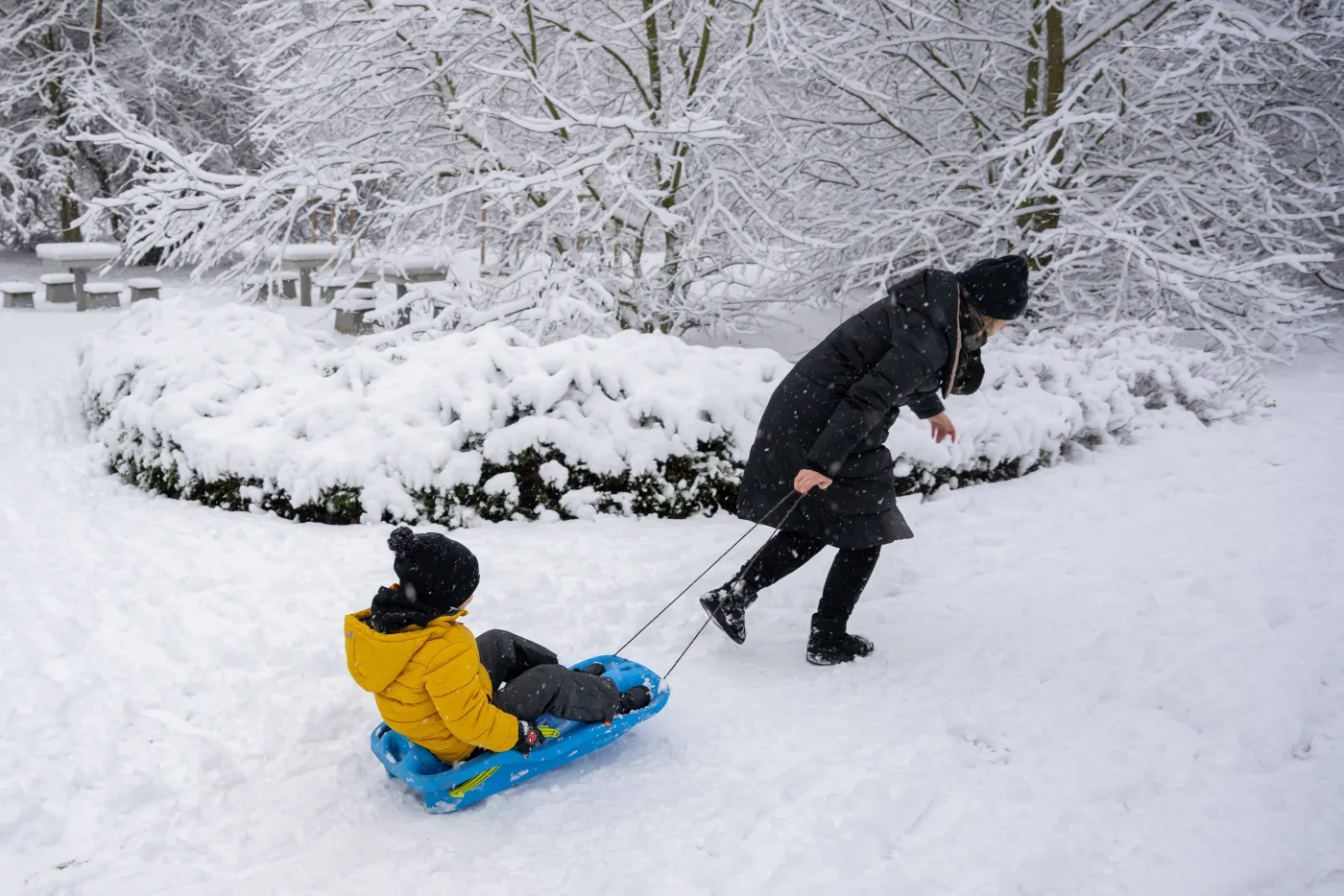 Pogoda na Boże Narodzenie 2025. Są najnowsze prognozy. Sprawdź, czy spadnie śnieg