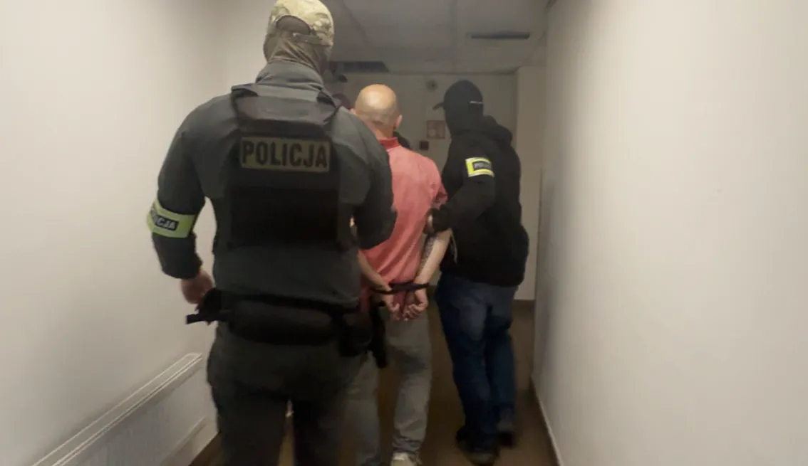 Gangi gruzińskie - zatrzymania w Polsce