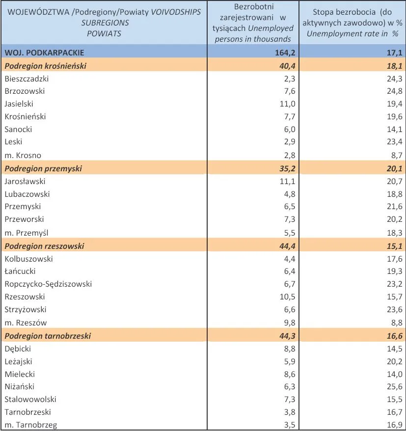 1263768-bezrobocie-w-polsce-w-lutym-2013-r-woj-podkarpackie.jpg