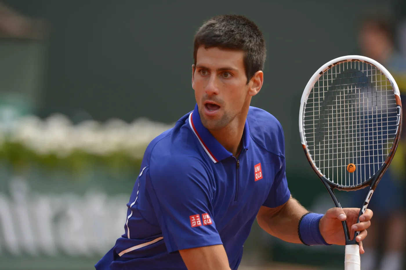1378381-novak-djokovic-jpg.jpg