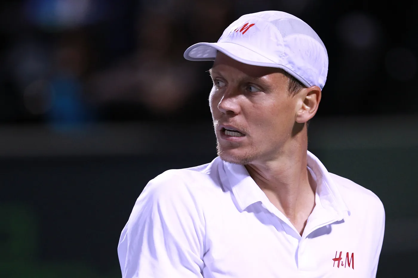 1378546-tomas-berdych-jpg.jpg