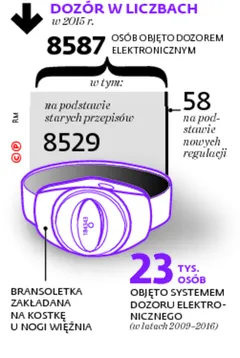 2414924-dozur-w-liczbach.jpg