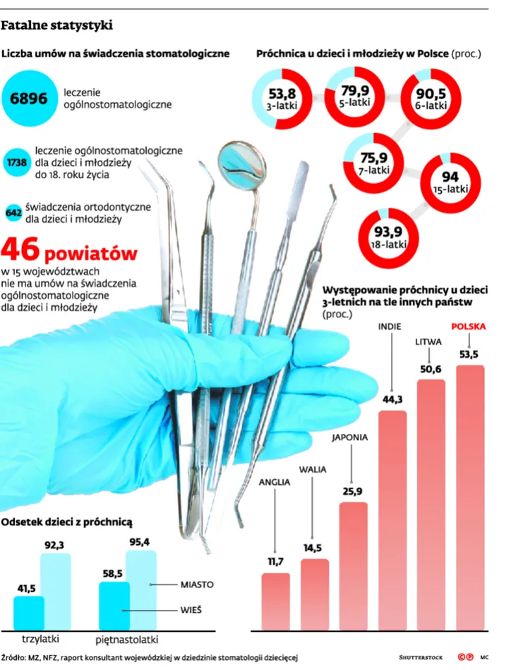 Na stomatologię NFZ daje tyle, że statystyczny Polak może wyleczyć jednego zęba